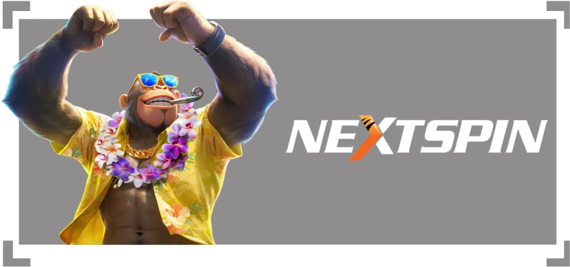 nextspin